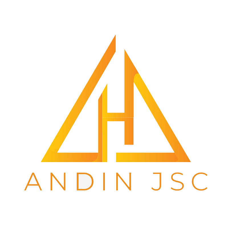 logo-andin