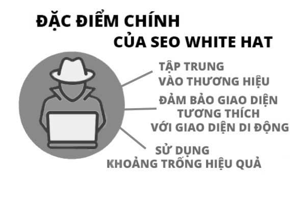 Các đặc điểm chính của seo mũ trắng – white hat