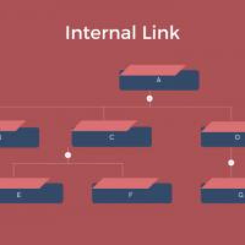 Tổng quan về internal link